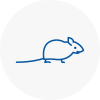 Mice Exterminators In Grantham